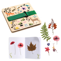 DIY-Vytvor si sm Herbr a lis na rastlinky: Zanajci botanici