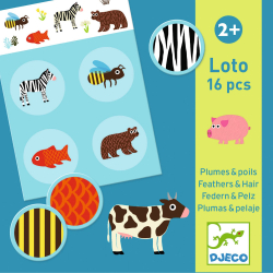 ENG: Educational games - Memo, Loto, Domino : Bingo Feathers&Fur